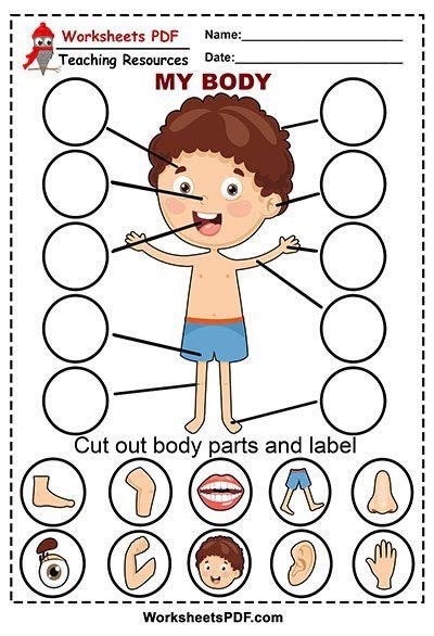 Worksheet For Kindergarten Body Parts
