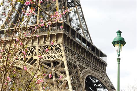 In Search Of Spring In Paris At The Eiffel Tower French Moments