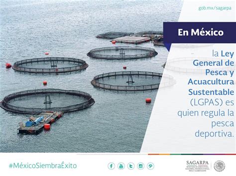 En México La Ley General De Pesca Y Acuacultura Sustentable Lgpas Es