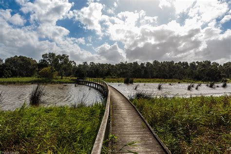 Bridge Across A Wetland Felipe Cuozzo Flickr
