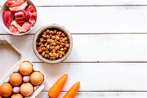 Featuring a rich blend of deboned chicken, salmon, and whole grains, this recipe is formulated to meet your puppy. 10 Best Organic Dog Foods for 2021 | Canine Weekly