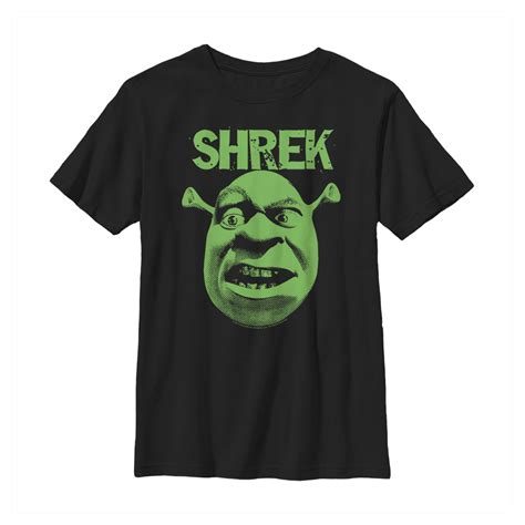 Shrek Boys Shrek Big Face Eyebrow Raised T Shirt