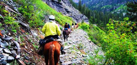 Swan Valley Horseback Trail Rides
