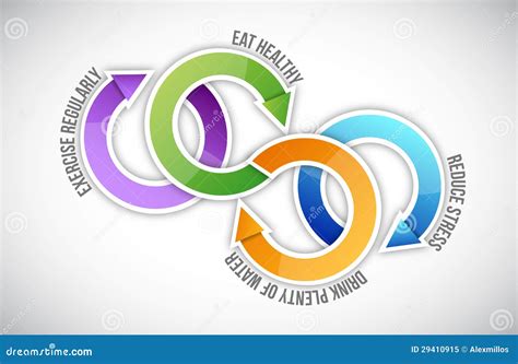 Diagram Of Healthy Life Cycle Stock Illustration