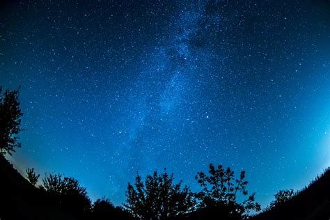 Find over 100+ of the best free starry sky images. Free Images : forest, star, milky way, cosmos, texture ...