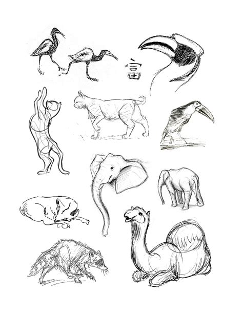 Louies Place Animal Drawings