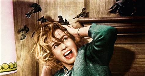 The best horror movies of all time might not be the ones you expect. Rotten Tomatoes' 24 Most Innovative Horror Movies Ever