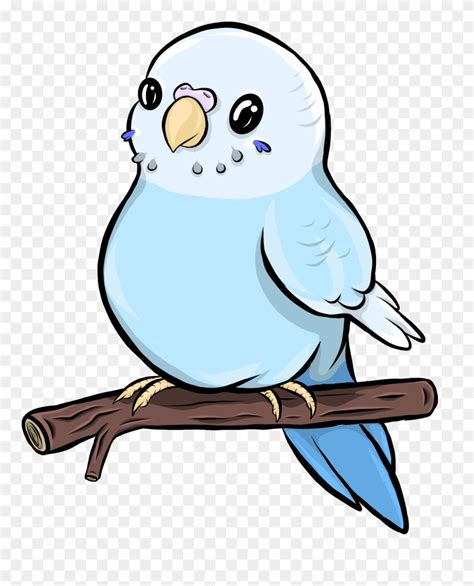 Untitled Artwork Budgie Clipart 3557203 Pinclipart