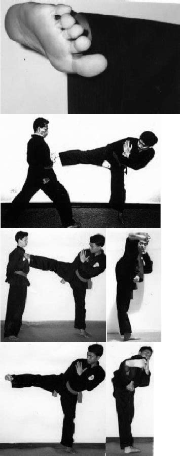 Wing chun yang efektif dapat dicapai dengan kordinasi antara serangan dan pertahanan yang serentak dan serangan balik. Pencak Silat Kucing Hitam.: Macam-Macam Tendangan Dalam ...