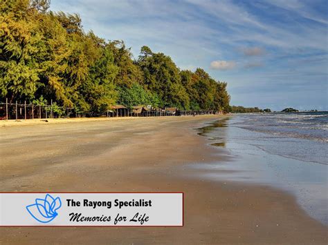 Suan Son Pine Tree Rayong Strand The Rayong Specialist
