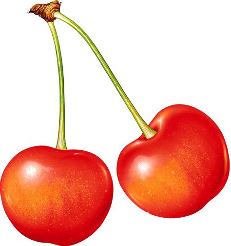 Cherry Png Image Transparent Image Download Size 1860x1978px