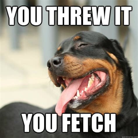 Funny Animal Memes and Videos - Because animals make us smile!
