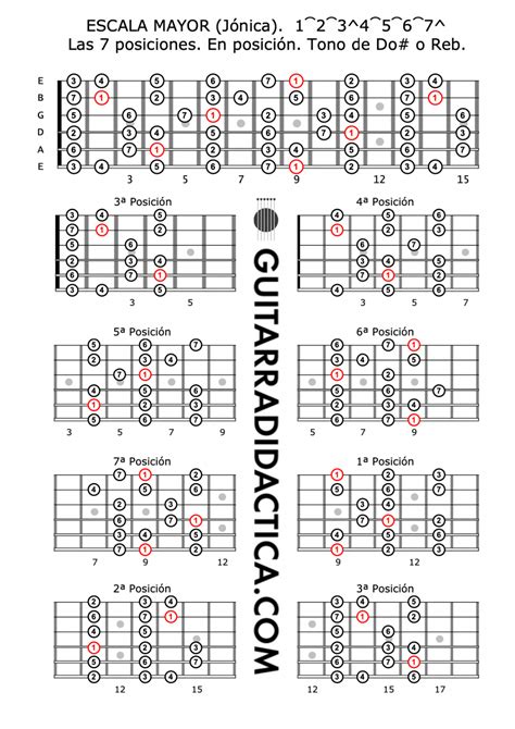 Escala Mayor En Posición Tono De Do O Reb C O Db Guitarra