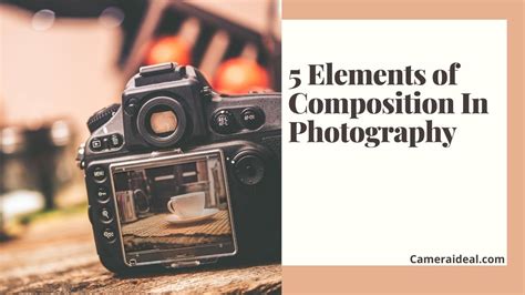 5 Elements Of Composition In Photography Camera Vibes
