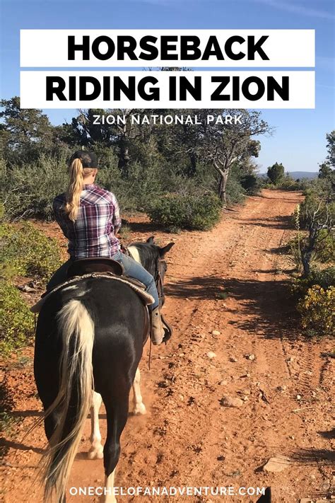 Zion Horseback Riding Near Zion National Park Canyon Trail Rides