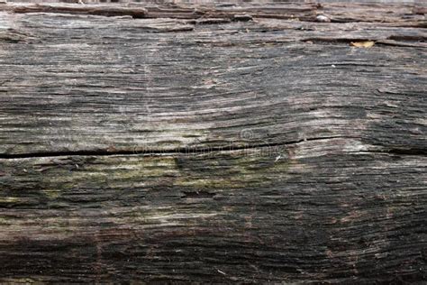 Magán Lemond Illat Rotten Wood Texture Befejezett Ellenőr Hódítás