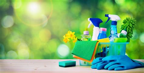 Services Going Green Cleaning Services Inc House Cleaning Service