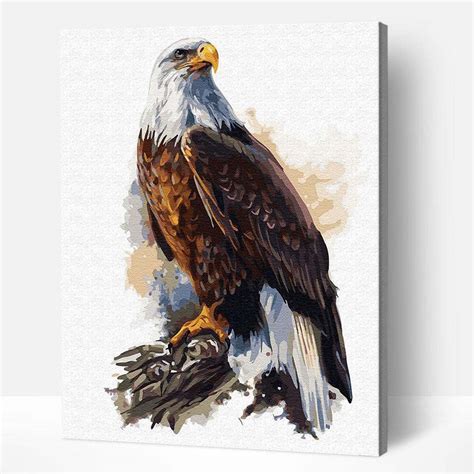 Adbrain Bald Eagle Paint By Number Kit Michaels