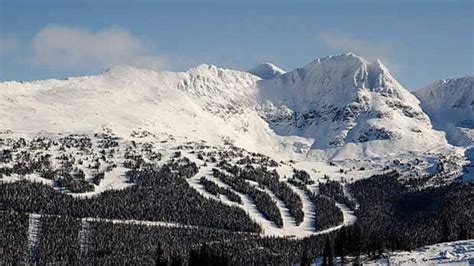 Skier Dies At Whistler Blackcomb Ski Resort British Columbia Cbc News