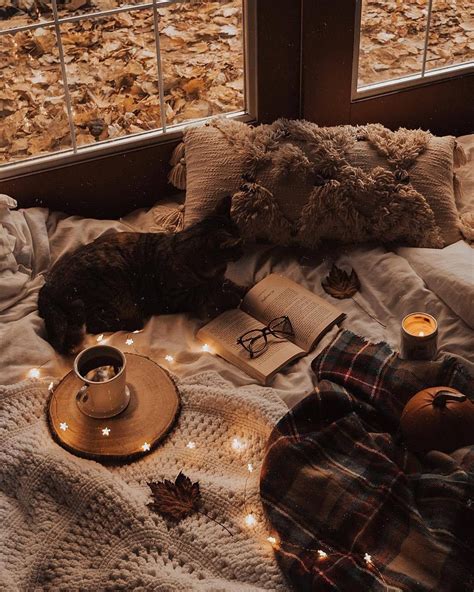 Autumn Cozy Aesthetics — Source Autumn Cozy Cosy Aesthetic Cozy Fall