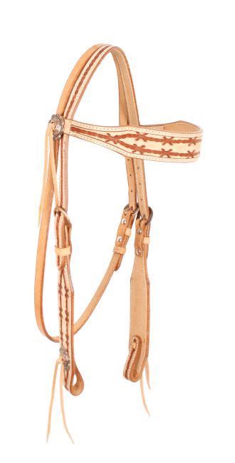 Showman Argentina Cow Leather Browband Headstall With Barbwire