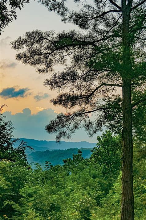 West Virginia Trees Mountains Landscape Nature Woods Appalachian
