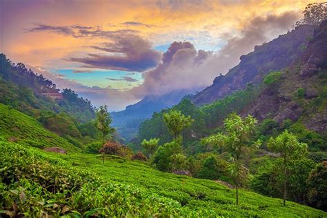 Explore Munnar Holidays And Discover The Best Time And Places To Visit