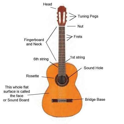 Below is an interactive diagram of the parts of an electric guitar. Diagram of the parts of a classical guitar