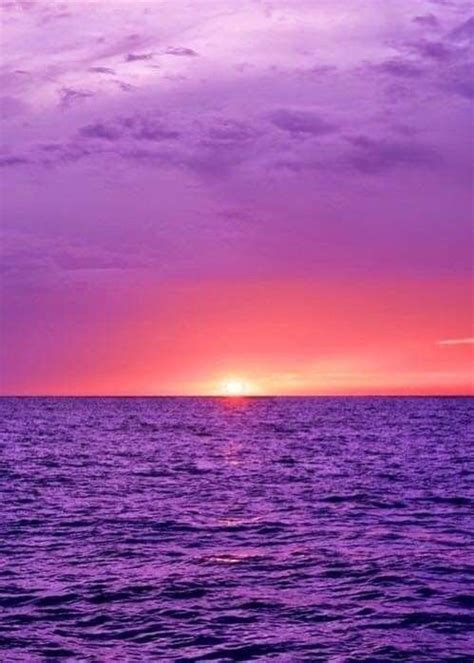 Pin By Creative Diys And All On Paisagem Natural Purple Sunset