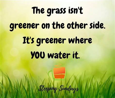 The Grass Isnt Greener On The Other Side Steeping Wellness