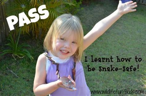 Teach Your Child How To Be Safe Snake In A Fun And Snake Friendly Way