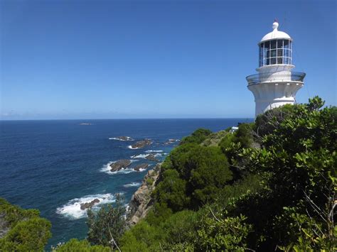 Visit Seal Rocks Best Of Seal Rocks New South Wales Travel Expedia Tourism