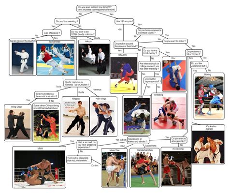 The Definitive Guide To What Martial Art Should I Study Rmartialarts