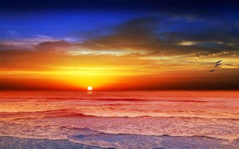 Lovable Images Sunrising In Sea Wallpapers Free Download Morning