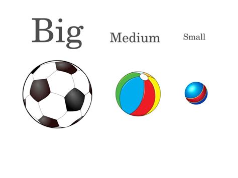 Match The Sizes Big Medium Small Free Games Activities Puzzles