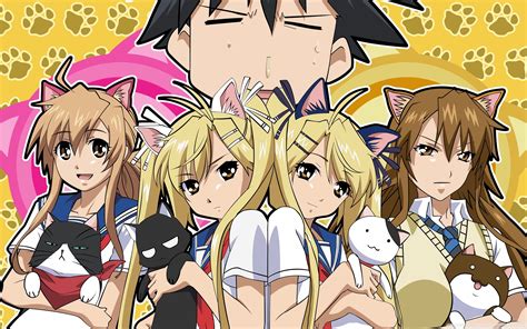 Anime Cat Girl Hd Wallpapers Free Download For Desktop Pc Laptop