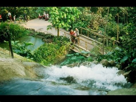 The eden project is a magnificent venue, featuring amongst many other things two giant biomes that simulate i saw the title eden project and was given the impression that it was a sort of rainforest. The Eden Project Cornwall Inside The Rainforest Biome ...