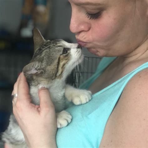 Volunteer Foster Parent Cat Animal Lighthouse Rescue Opportunity