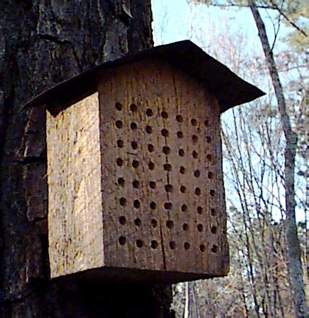 This is a great, wholesome activity and makes a great holiday present! Bohemian Pages: DIY Friday.....Mason Bee House