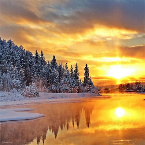 Pin by Victoria Kaplan on Nature | Winter scenery, Winter landscape ...