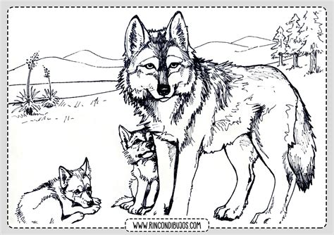Dibujos De Lobos Para Colorear Láminas Gratis De Lobos