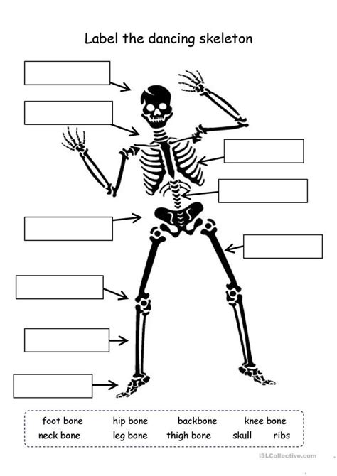 Label The Skeleton English ESL Worksheets Science Worksheets 4th