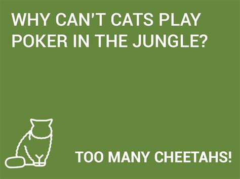 10 Short Jokes About Cats That Are Easy To Remember Page 4 Joke Of