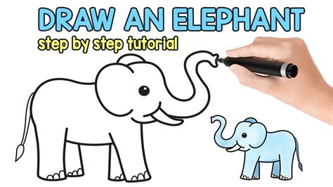 How To Draw An Elephant For Kids Elephants Are The Largest Living