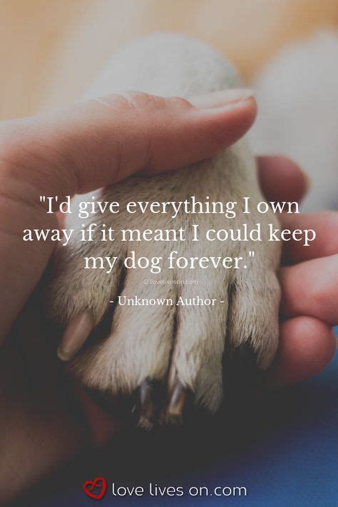 47 Animal Quotes Ideas In 2021 Animal Quotes Dog Quotes I Love Dogs