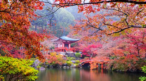 Pictures Kyoto Japan Autumn Nature Pond Parks Pagodas 1920x1080