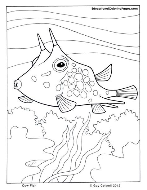 Sea Animals Coloring Animal Coloring Pages For Kids