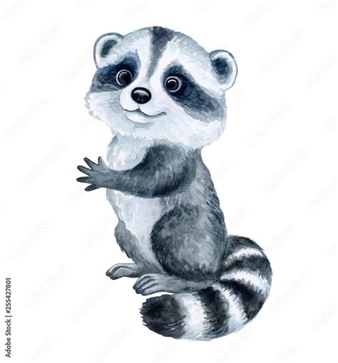 Cute Raccoon Cartoon Isolated On White Background Watercolor