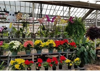 Because flowers are a way to connect with loved ones and a way to celebrate important occasions, our store, website and phones are available to receive orders. 3 Best Florists in Lansing, MI - Expert Recommendations