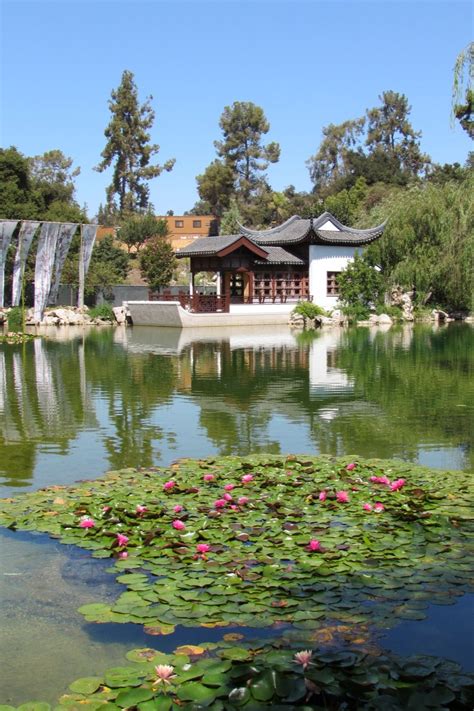 The Huntington Library And Botanical Gardens Chinese Garden Japanese